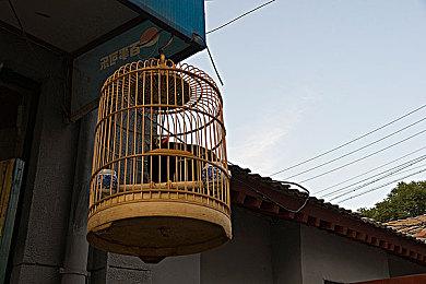 国产末日生存游戏《落星》Steam页面开放 明年发售